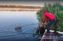 Рыбалка на Марьевском водохранилище