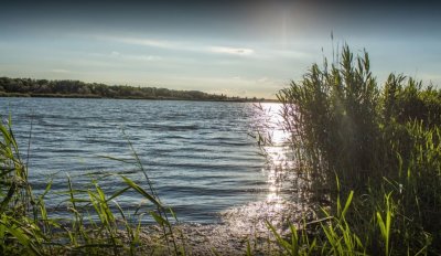 Рыбалка на Марьевском водохранилище