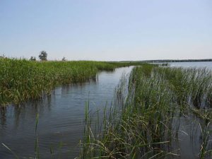 Орельское водохранилище в Харьковской области