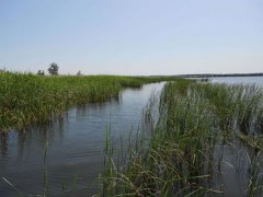 Орельское водохранилище в Харьковской области