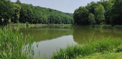 Комплекс отдыха «Озерный край»