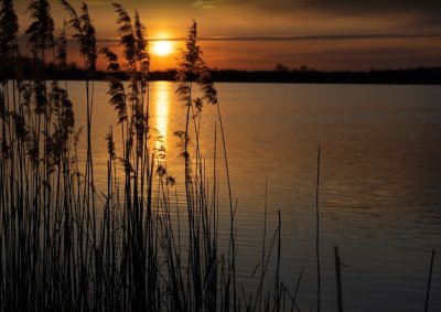 Рибалка на Озері Кричевичі у Волинській області