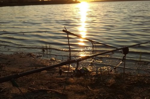 Рыбалка на озере Ли 