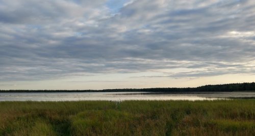 Рыбалка на  Луковском озере 