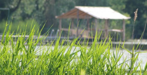 Озеро у Слободі-Межирівській