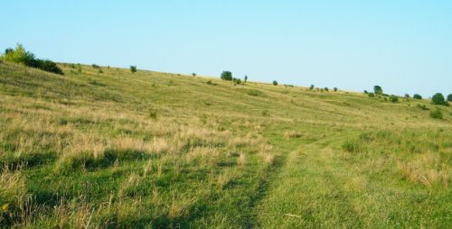 Озеро у Слободі-Межирівській