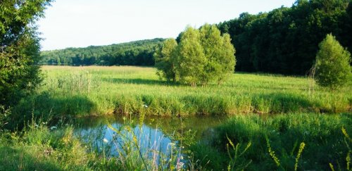 Озеро у Слободі-Межирівській