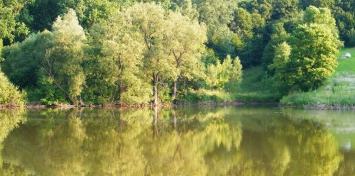 Озеро у Слободі-Межирівській