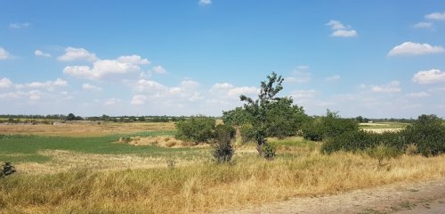 Риболовля у селі Очеретувате в Запорізькій області