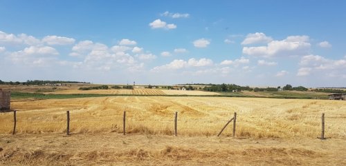 Риболовля у селі Очеретувате в Запорізькій області