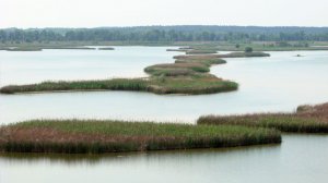 РПХ Ольшанка в Черкасской области-2