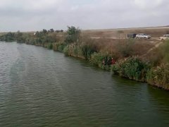 Рыбалка на канале Дунай - Сасык в Одесской области