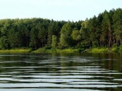 Рыбалка на Кременчугском водохранилище в Черкасской области