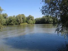 Рыбалка на Кучурганском лимане Одесской области