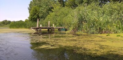 Рыбалка на Млыновском водохранилище