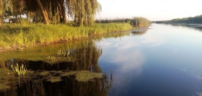 Рыбалка на Млыновском водохранилище