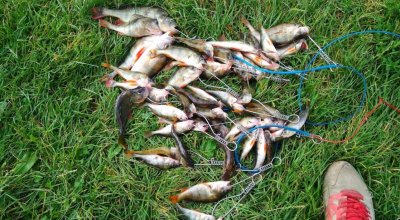 Рыбалка на Млыновском водохранилище