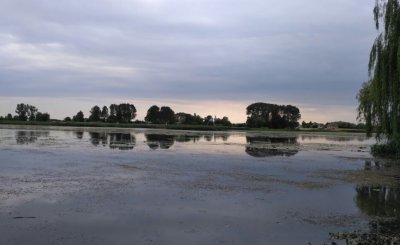 Рыбалка на Млыновском водохранилище