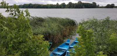 Рыбалка на Млыновском водохранилище