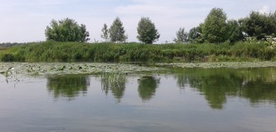 Рыбалка на Млыновском водохранилище