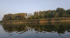 Рыбалка на Млыновском водохранилище