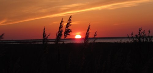 Риболовля на Молочному лимані в Запорізькій області