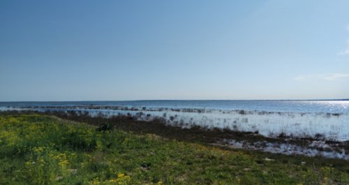 Риболовля на Молочному лимані в Запорізькій області