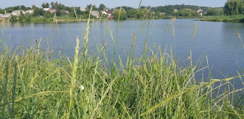 Рибалка на озері Цукерня, с. Якушинці у Вінницькій області