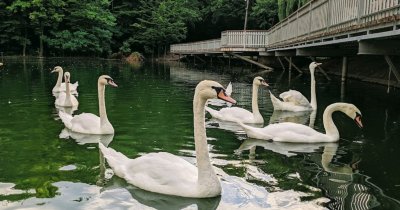 Рыбалка в ТРК «Солнечная Долина»
