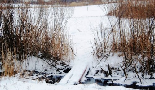 Рибалка біля села Басань у Запорізькій області