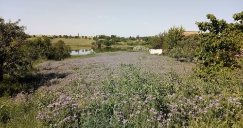 Рибалка біля села Басань у Запорізькій області