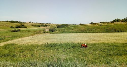 Рибалка біля села Басань у Запорізькій області