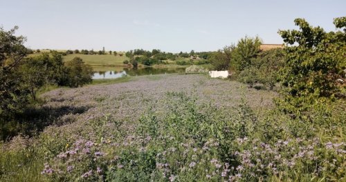 Рибалка біля села Басань у Запорізькій області