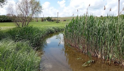 Рибалка біля села Благовіщенка