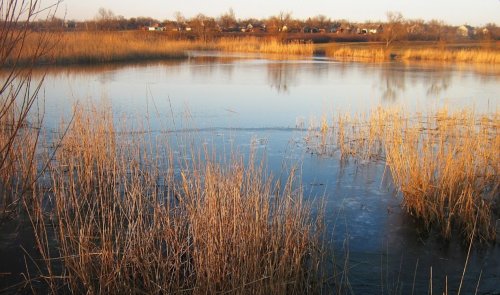 Рибалка біля села Благовіщенка