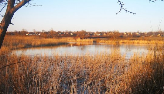 Рибалка біля села Благовіщенка