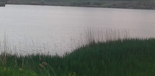 Риболовля біля села Дахно у Запорізькій області