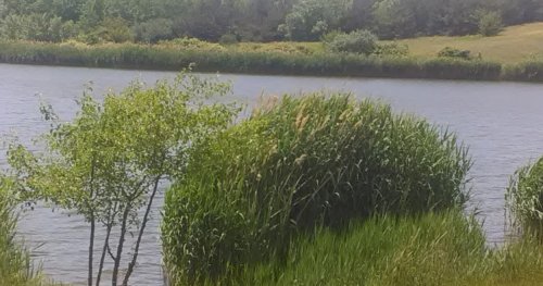 Риболовля біля села Дахно у Запорізькій області