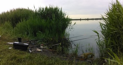 Риболовля біля села Дахно у Запорізькій області