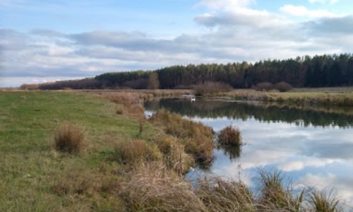 Рибалка біля села Корделівка Вінницької області