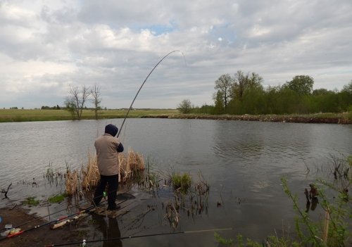 Рибалка біля села Королівка