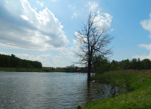 Рибалка біля села Королівка