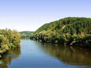 Рыбалка у села Привольное Ровенской области