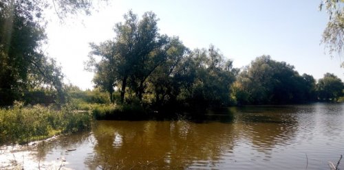 Рибалка біля села Токарі Сумської області