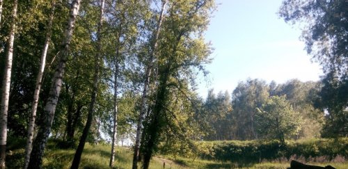 Рибалка біля села Токарі Сумської області