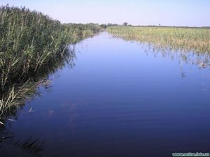 Рыбалка в Олеско