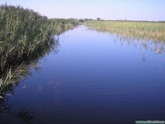 Рыбалка в Олеско