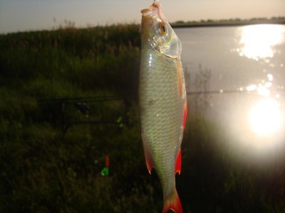 Рибалка в Явкине Миколаївської області