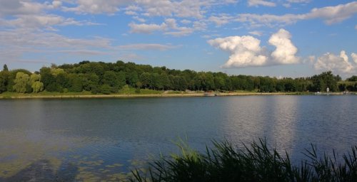 Рыболовно-спортивная база Басов Кут в Ровенской области