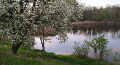Рыбалка на Софиевском водохранилище